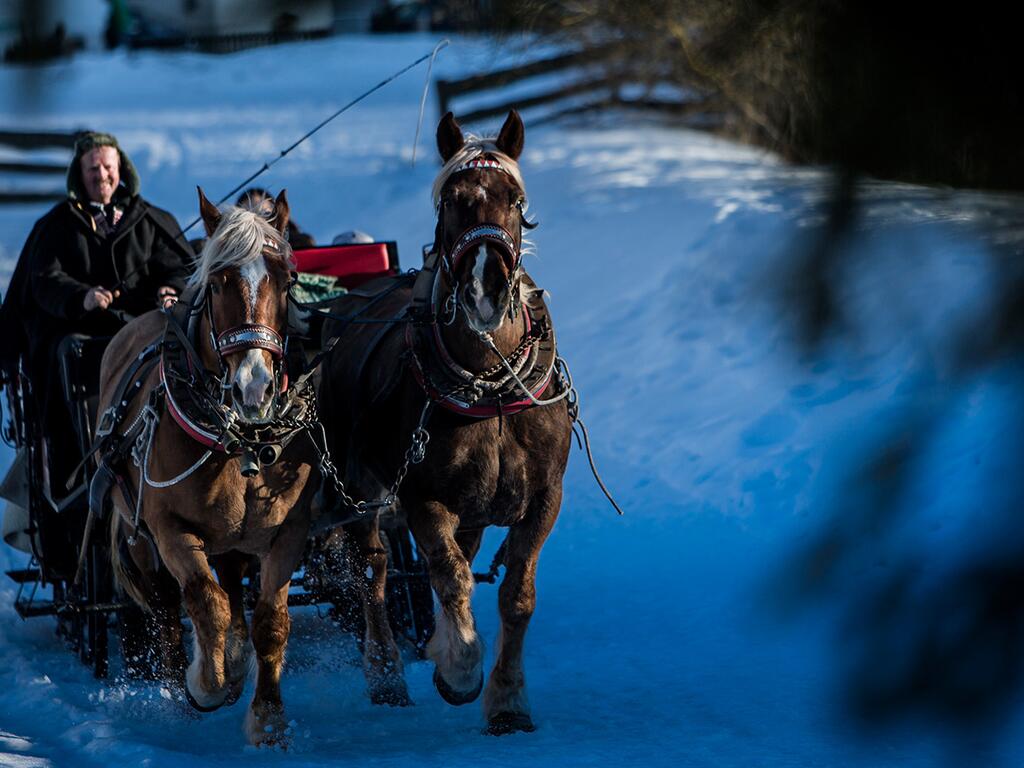Pferdeschlittenfahrt im Ahrntal